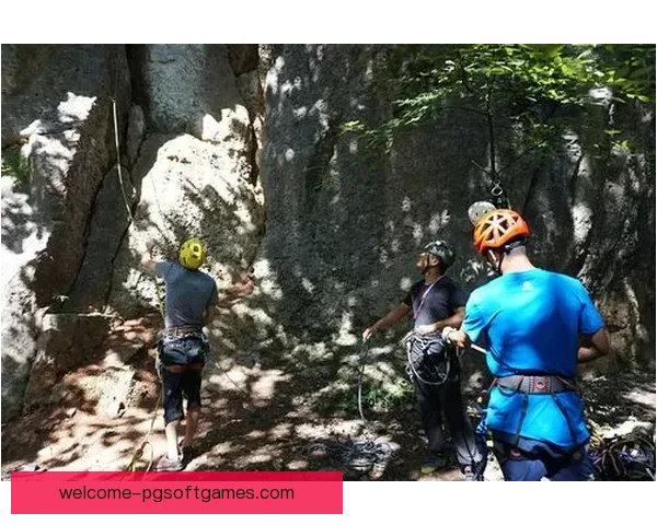 攀岩高手擂台：登峰挑战赛火热开启