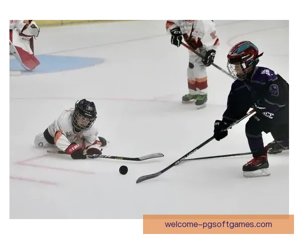 冰球教学视频大全，快速提升技术实力