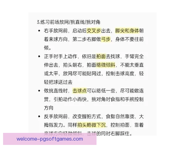 学习羽毛球的基本技巧和规则