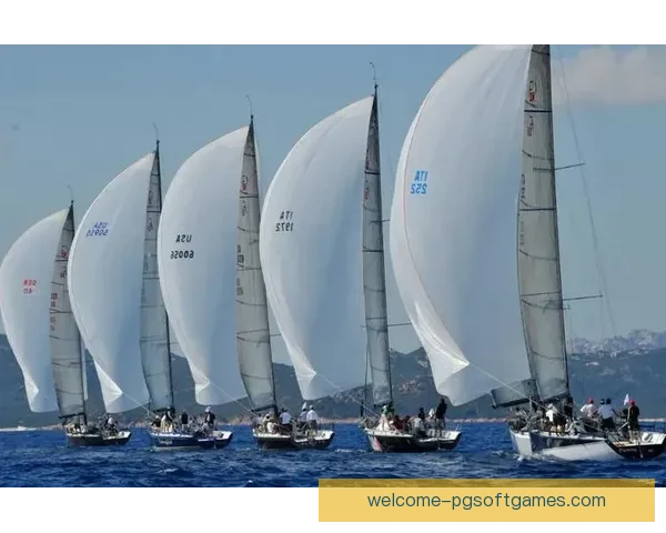 帆船训练新思路：提升技艺，规划方向，精进技巧