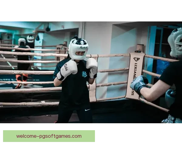 搏击风云：拳击精彩赛事回放