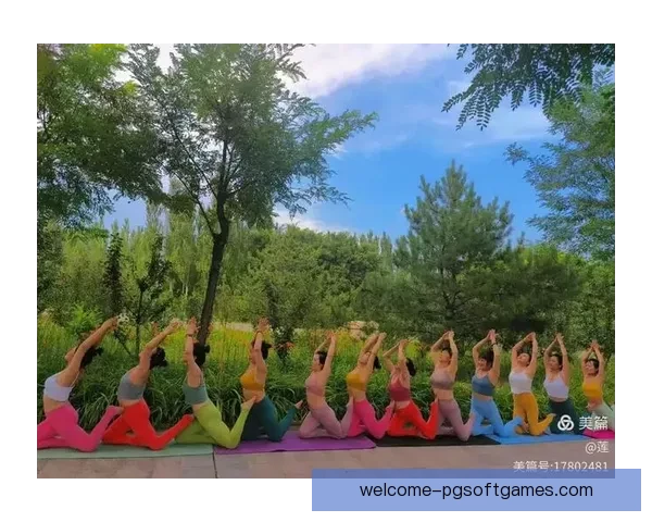 瑜伽锦标赛：身心灵之旅