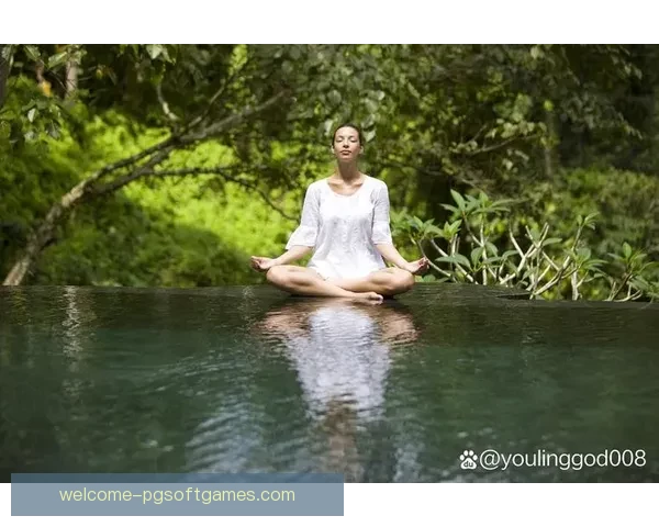 瑜伽杯赛：身心合一之道